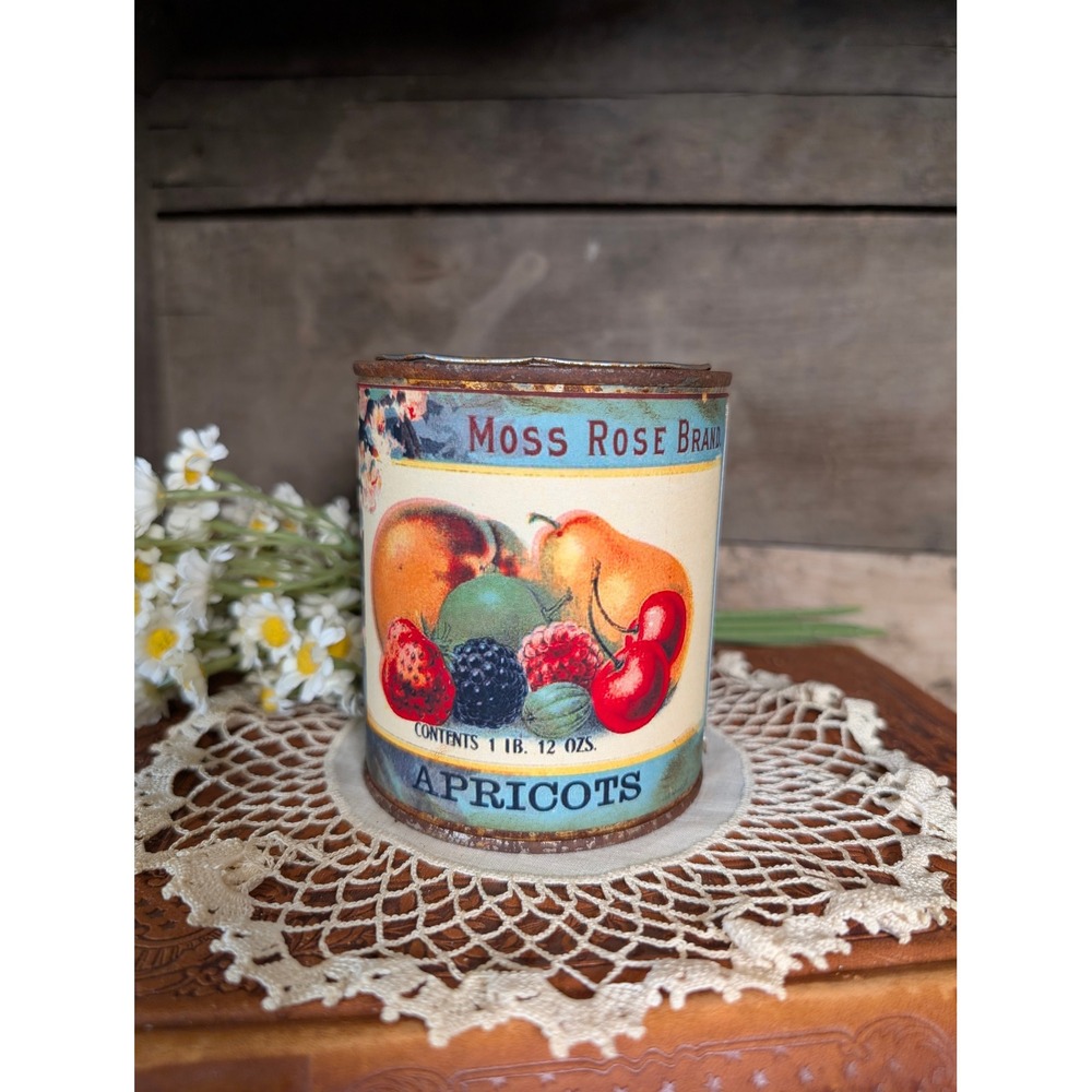 Moss Rose Vintage Inspired APRICOTS Rusted Can - Pint